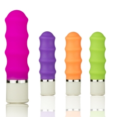 LY12A01 Electric Mini Massager