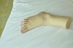 model of feet